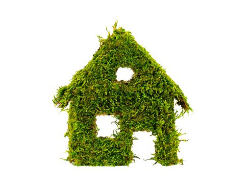 Why-Choose-a-green-energy-supplier-green-house-550x364.jpg